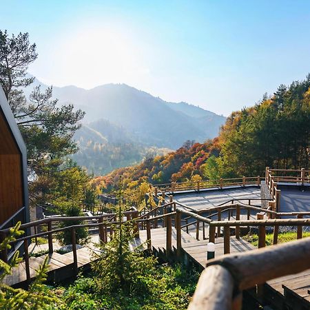 Qazaq Auyl Eco Hotel Αλμάτι Εξωτερικό φωτογραφία