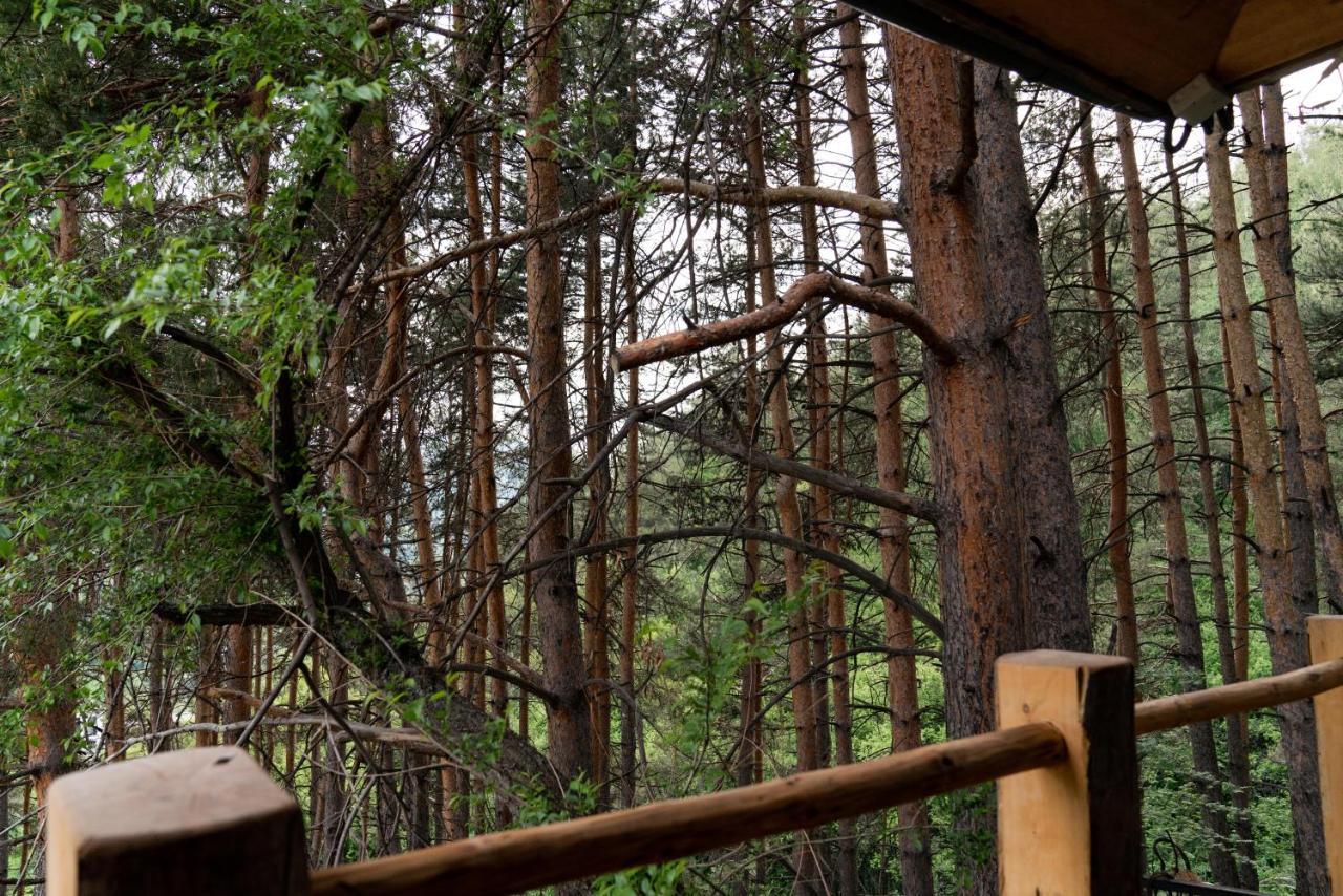 Qazaq Auyl Eco Hotel Αλμάτι Εξωτερικό φωτογραφία
