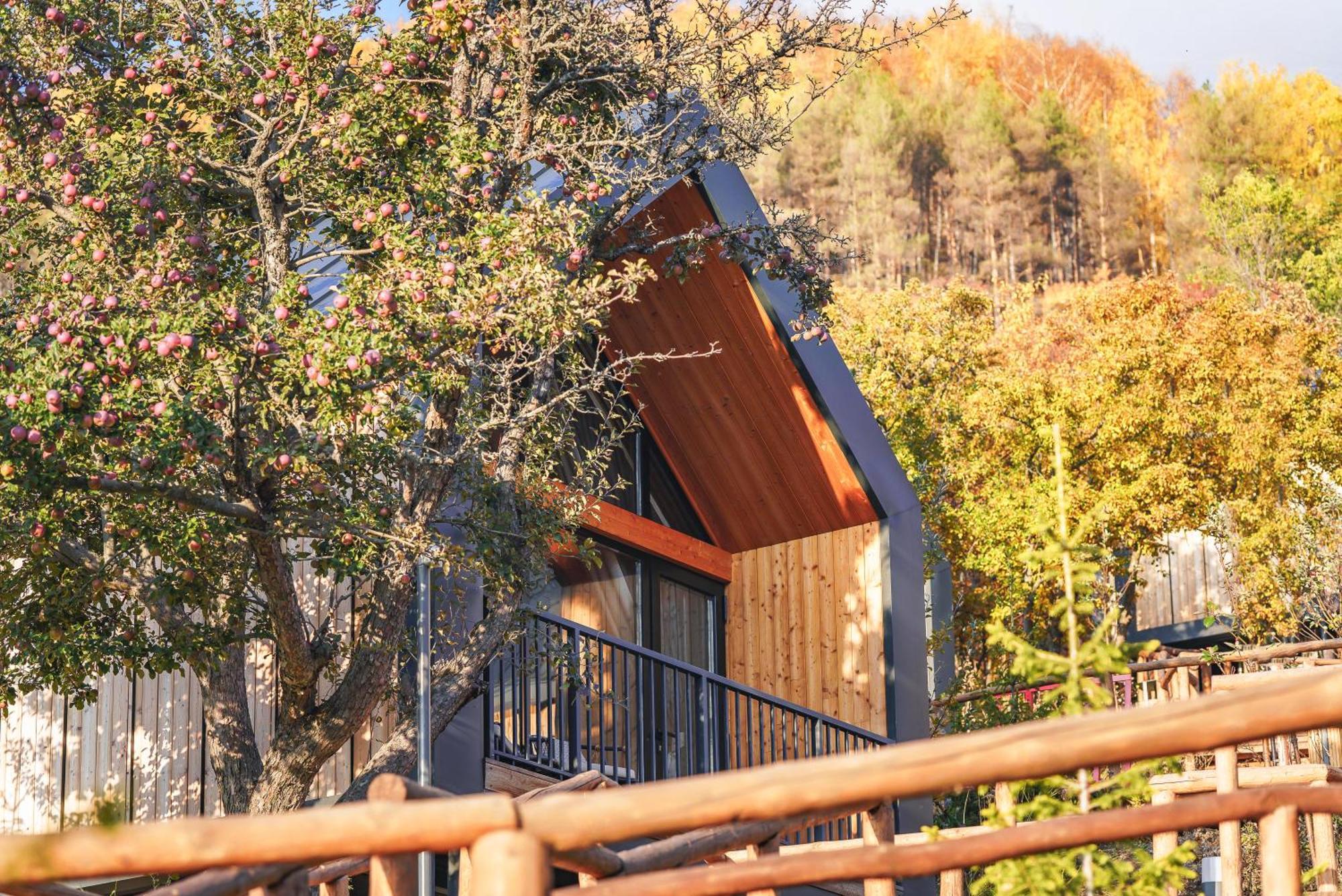 Qazaq Auyl Eco Hotel Αλμάτι Εξωτερικό φωτογραφία